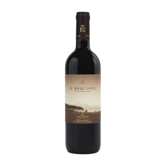 Il Bruciato Bolgheri Rosso DOC 2024 – Antinori