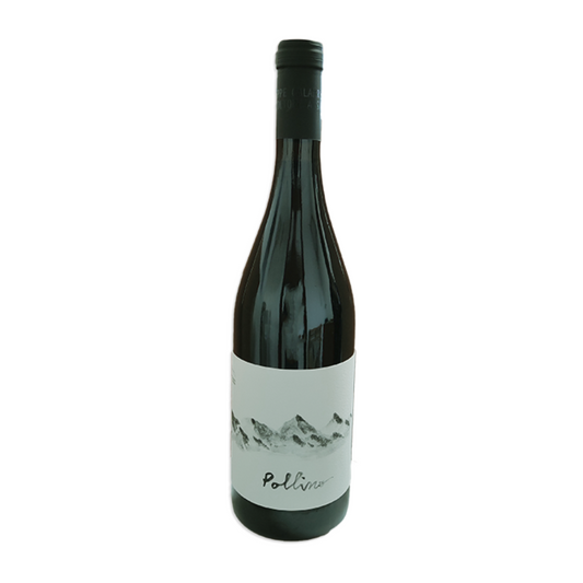 Pollino Calabria rosso DOC 2019 - Giuseppe Calabrese